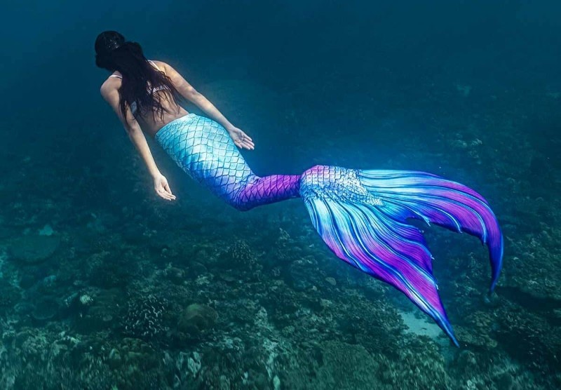 Bí ẩn khi bị người cá dụ xuống nước trong mơ