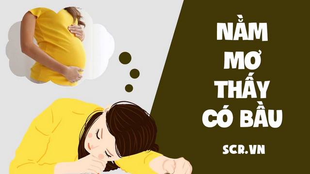 Mơ có bầu đánh những con số gì thì trúng? Mơ có bầu đánh những con số gì thì trúng?