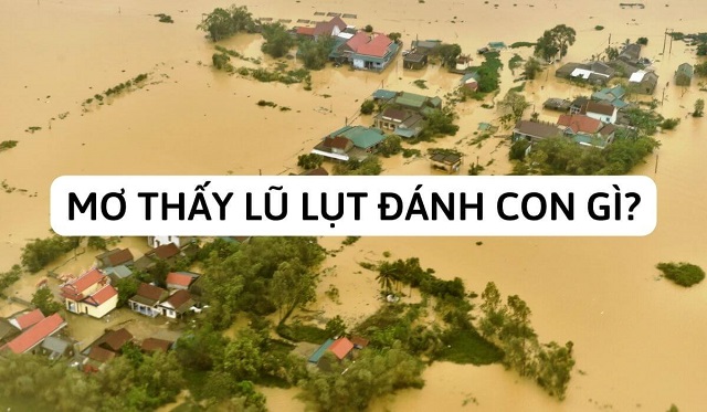 Nằm mơ thấy nước lũ lụt đánh con gì dễ trúng? Nằm mơ thấy nước lũ lụt đánh con gì dễ trúng?