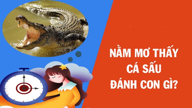 Chiêm bao thấy cá sấu mang về những con số may mắn không phải ai cũng biết Chiêm bao thấy cá sấu mang về những con số may mắn không phải ai cũng biết