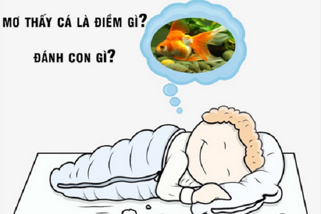 Mơ thấy bắt cá đánh con gì để trúng? Mơ thấy bắt cá đánh con gì để trúng?