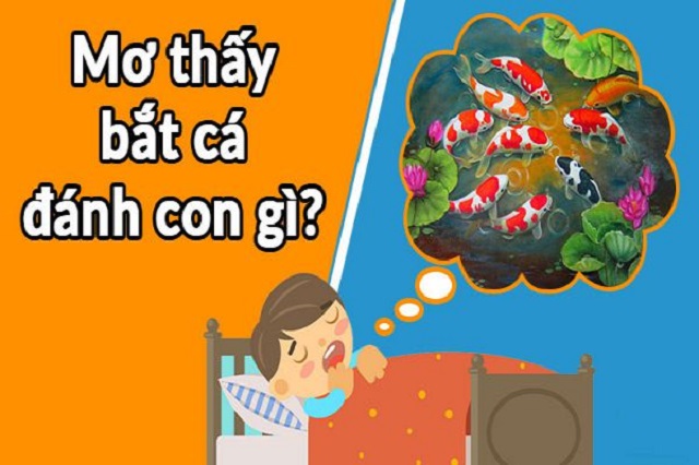 Ý nghĩa mơ thấy bắt cá lóc Ý nghĩa mơ thấy bắt cá lóc