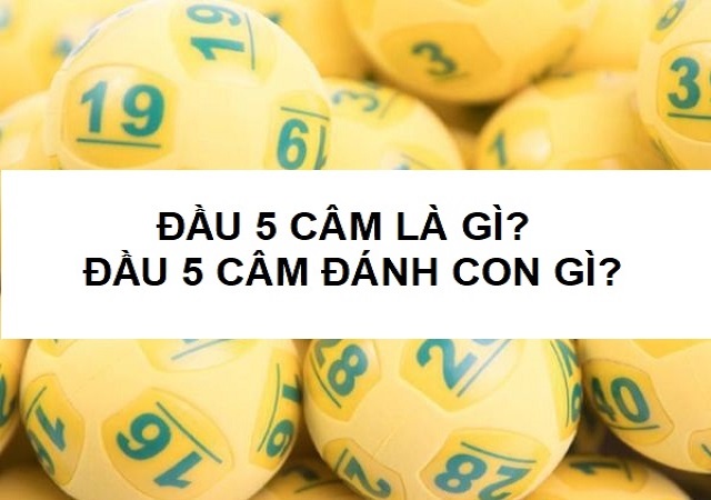 Đầu 5 câm hôm sau đánh con gì Đầu 5 câm hôm sau đánh con gì