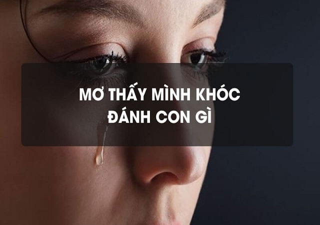 Mơ thấy mình khóc đánh con gì may mắn Mơ thấy mình khóc đánh con gì may mắn
