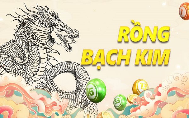 Đôi nét về chuyên trang soi cầu Rồng Bạch Kim 888