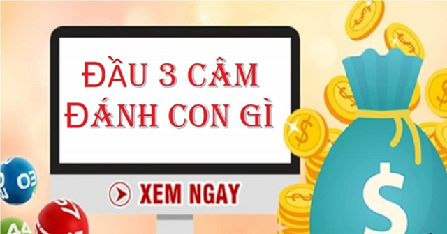 Điểm tạo nên sự thu hút đặc biệt của đầu 3 câm Điểm tạo nên sự thu hút đặc biệt của đầu 3 câm