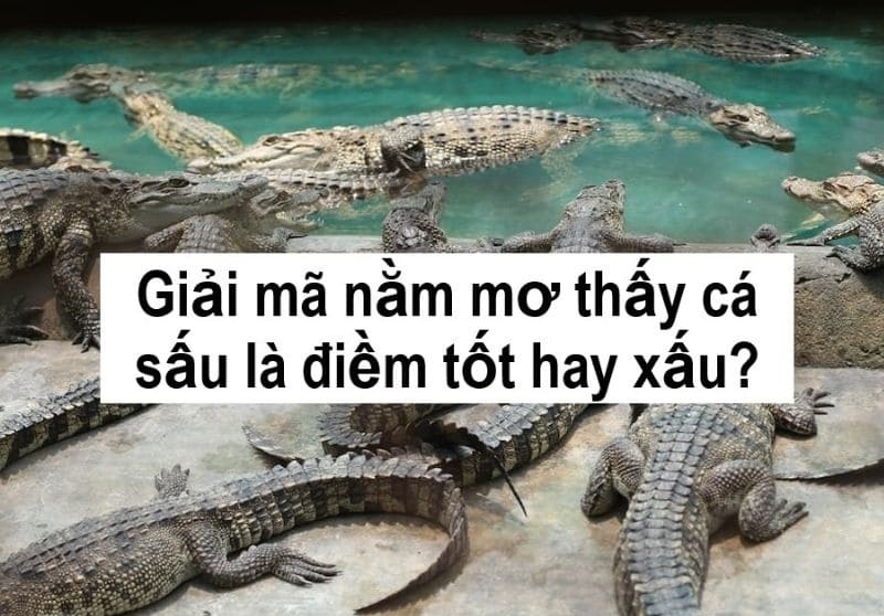 Giấc mơ ẩn chứa những thông điệp đầy hữu ích dành cho bạn Giấc mơ ẩn chứa những thông điệp đầy hữu ích dành cho bạn